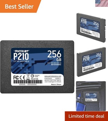 P210 SATA 3 256GB SSD 2.5 Inch Internal Solid State Drive - P210S256G25