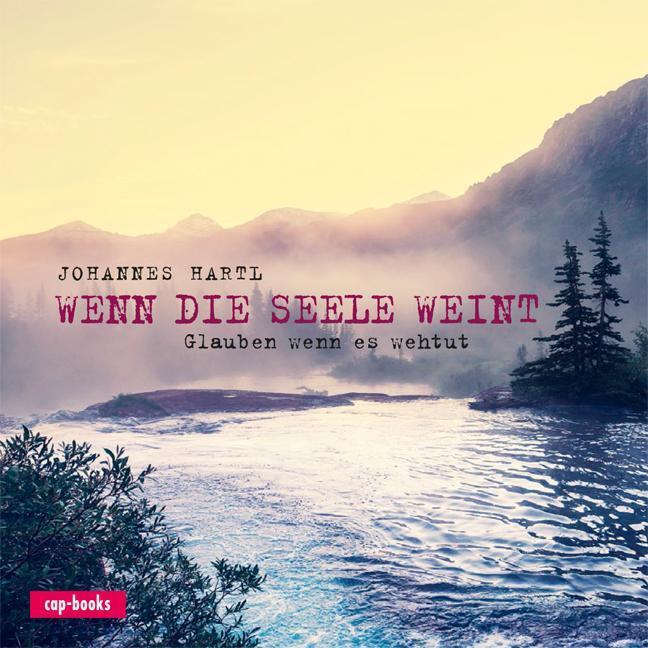 Thumbnail - Wenn Die Seele Weint Glauben Wenn Es Weh Tut Johannes Hartl Buch 80 S.