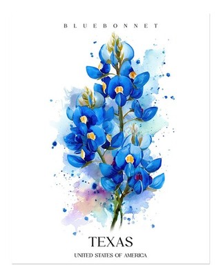 Texas Bluebonnet Blumen Wandkunst Aquarelldruck Aquarell Natur Garten