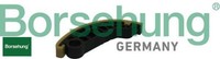 Borsehung B1G014 Gleitschiene FüR Steuerkette Gleitschiene Steuerkette