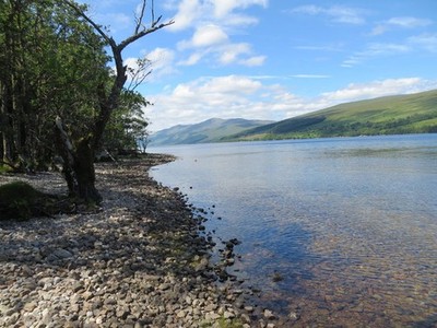 Photo A3 Looking westwards along the shoreline of Loch Arkaig Loch Arkai c2014