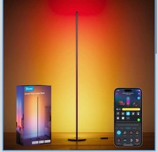 Govee Free Standing Floor Lamp Basic