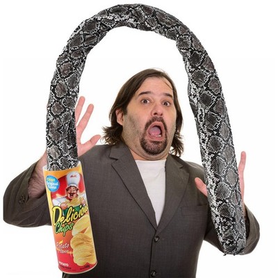 Winbar Prank Gifts for Kids, Funny Classic Snake in a Can 8.6 inches tall 