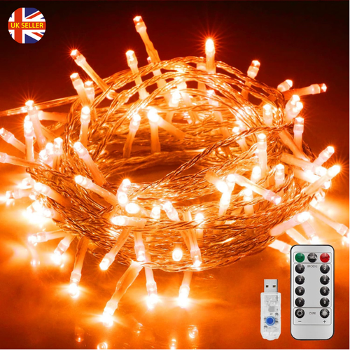 Fairy Lights Outdoor Indoor Deco 10M 100LED USB Remote Control
