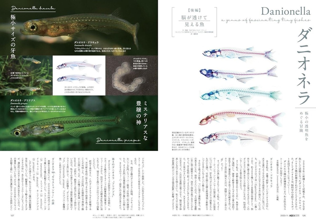 AROWANA LIVE vol.1〜vol.9 9冊セット AROWANA LIVE（アロワナ