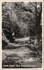 Vintage 1920s ALMADEN, California Postcard "TWIN CREEK" - PNC / Unused