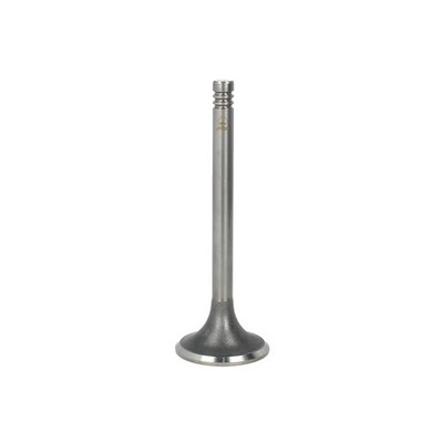 FITS PARADOWSCY PFEN010 INTAKE VALVE OE REPLACEMENT