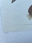 Gordon Morrison Tulip Print - pencil signed and numbered — photo 2