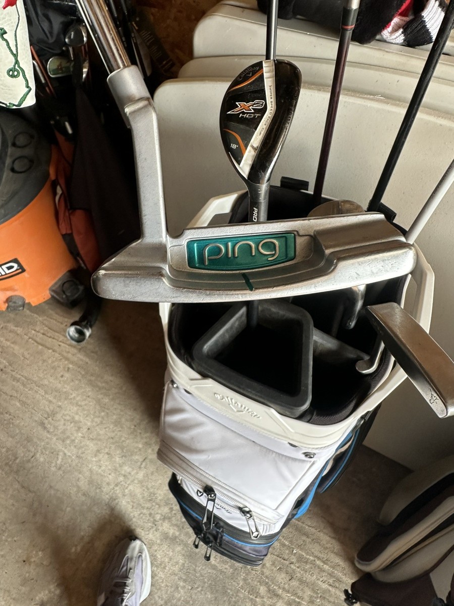 Lady Ping Anser 2 Rhapsody 33