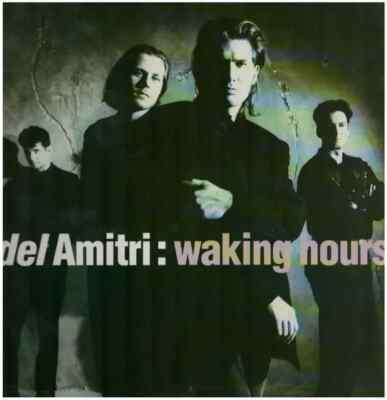Del Amitri Waking Hours NEAR MINT A&M Records Vinyl LP