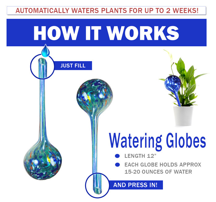 5 STAR Super Deals Aqua Plant Watering Globes Automatic Watering Ball Plant Bulbs Multi-color Small & Large 8pc Large