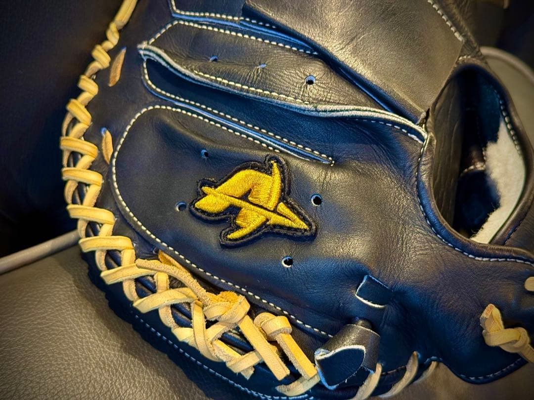 Attract Hard Catcher's Mitt