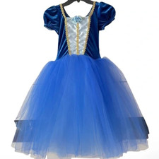 Wish Come True Princess Costume Tulle Ballet Dance Ballerina Recital 11/12