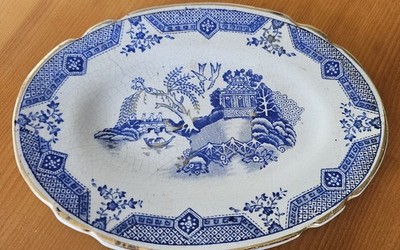 Antike Muschel Ware England Old English China Blau Teller