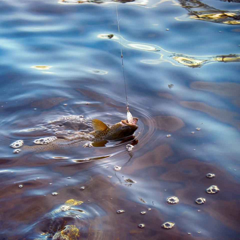 30Pcs Steel Fishing Wire Leader Line with Swivel and Snap 125LB 21 Inch, Black Foto 4 de 4