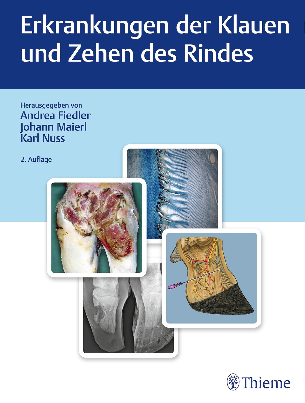 Thumbnail - Erkrankungen Der Klauen Und Zehen Des Rindes