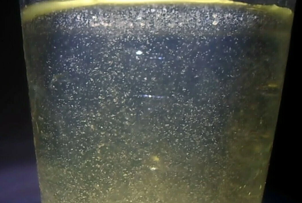 Live top fish eggs
