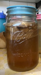Kombucha SCOBY, 3 1/2" diameter, organically-grown, shipped with starter tea