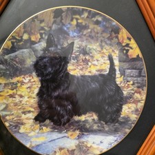 Danbury Mint Collecter Scottish Terrier Plate Framed