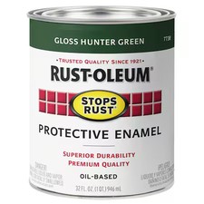 Rust-Oleum 7738502 Interior/Exterior Paint, G...