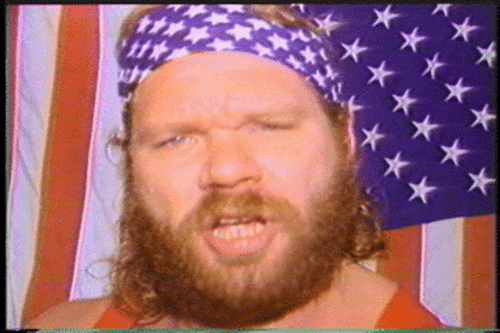 Universal Wrestling Power Pro PPW Volumes 1,2,3,4,5,6 DVD 6 DVD's in Set! - Picture 7 of 10