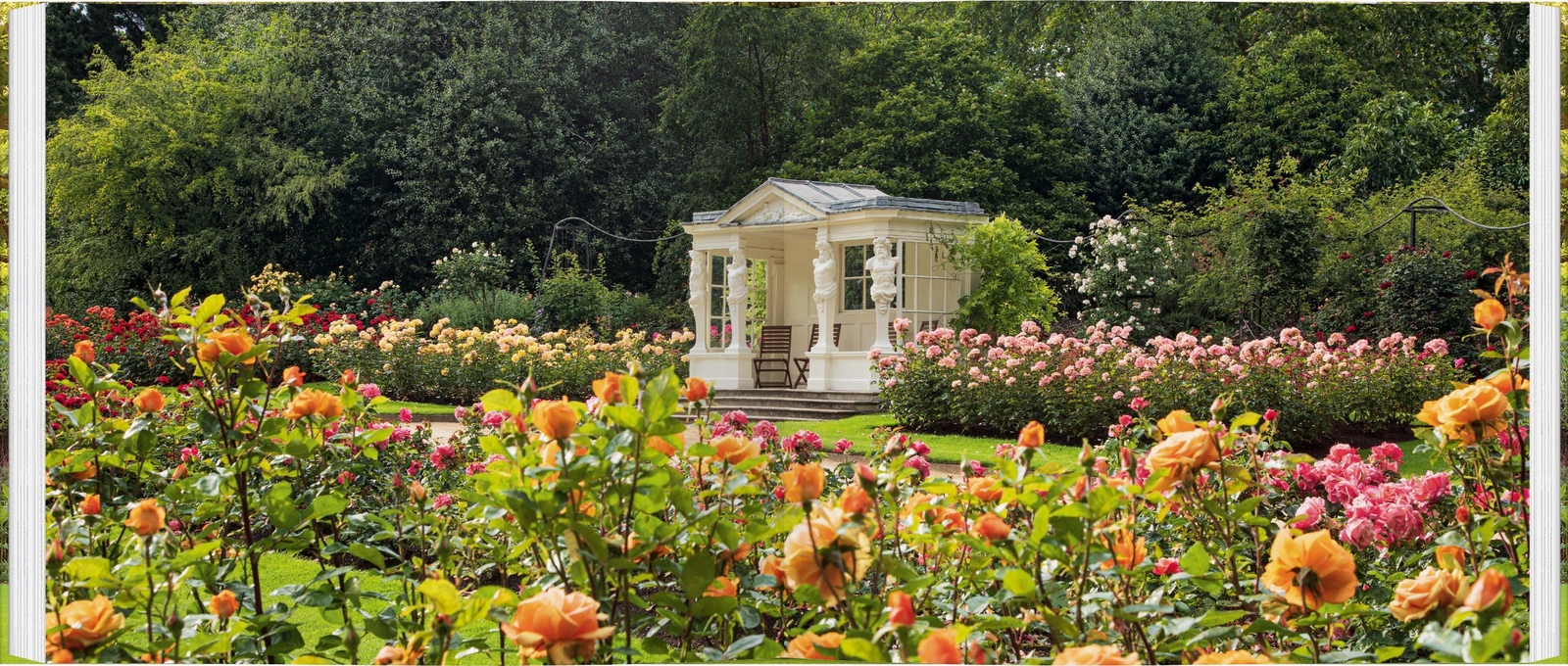 Thumbnail - Buckingham Palast | Claire Masset | Der Königliche Garten | Buch | 120