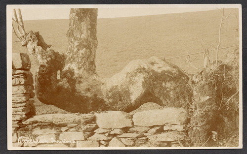 Postcard Troutbeck Cumbria tree Hunchback unusual growth early RP by Brockbank