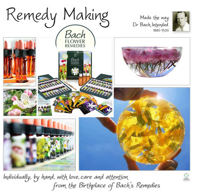 Bach Flower Essence Complete Kit Wooden Case. Practitioner Gift