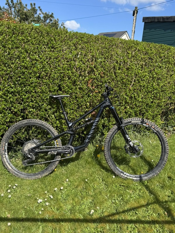 Canyon Torque Mullet CF8 Small Full Suspension Mountain