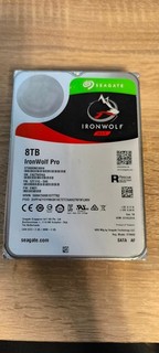 Seagate Ironwolf Pro 8 TB