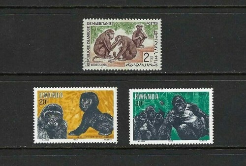 GORILA.- RWANDA.- BABOUINS, MAURITANIA - 第 1/1 張圖片