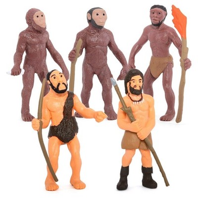 Simulation Human Evolution Models Primitive Figur Growth Cycle Human7600