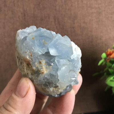 218g Natural Beautiful Blue Celestite Crystal Geode Cave Mineral Specimen B1416