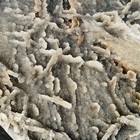Natural Sphalerite ore Quartz heart-shaped Quartz Crystal Reiki Healing 6900g — photo 9