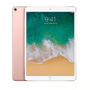 iPad Pro Rose Gold | eBay