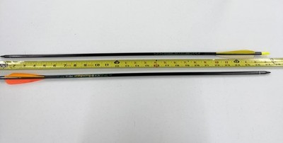 Beman Archery Arrows Set Of 2 - ICS Hunter - 340 Spine - Item 3084 