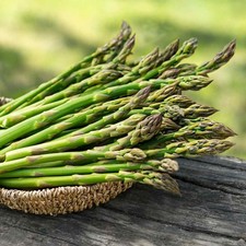 6  Asparagus Crowns "Mary Washington" (Pack of 6 Bare Root Plants) Zones 3-8