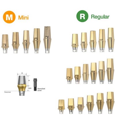 US Titanium Hex Straight Transfer Abutment Fit Osstem Hiossen TS Mini Regular