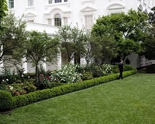 BARACK OBAMA STROLLS THROUGH WHITE HOUSE ROSE GARDEN IN 2009 8X10 PHOTO (ZY-626)