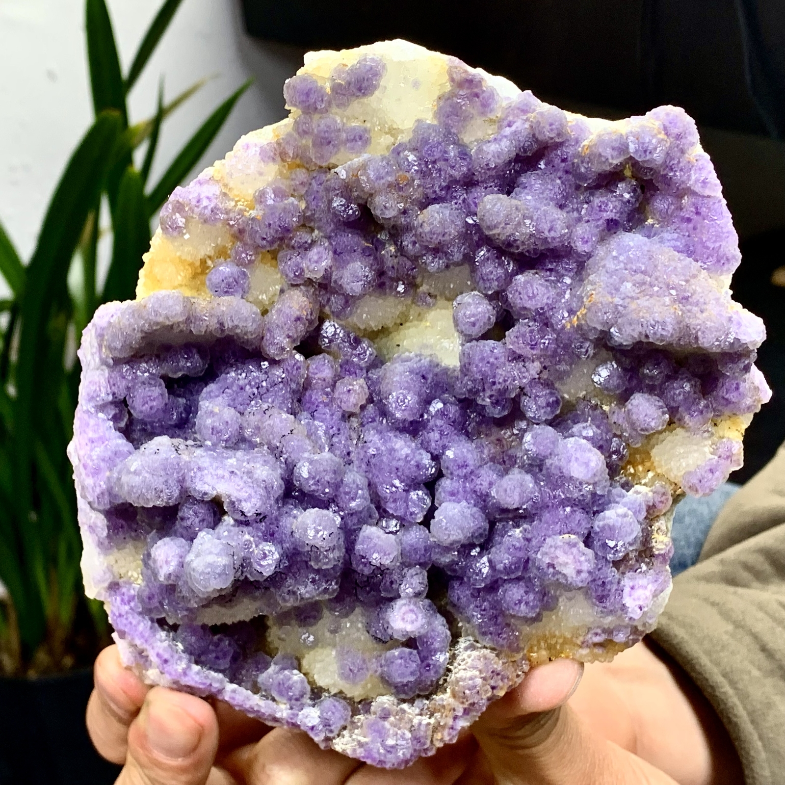 2.28LB Rare Transparent Purple Cubic Fluorite Crystal Specimen