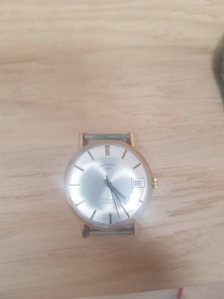 Rotary 17 jewels incabloc Mens Watch gold Tone Swiss made eBay