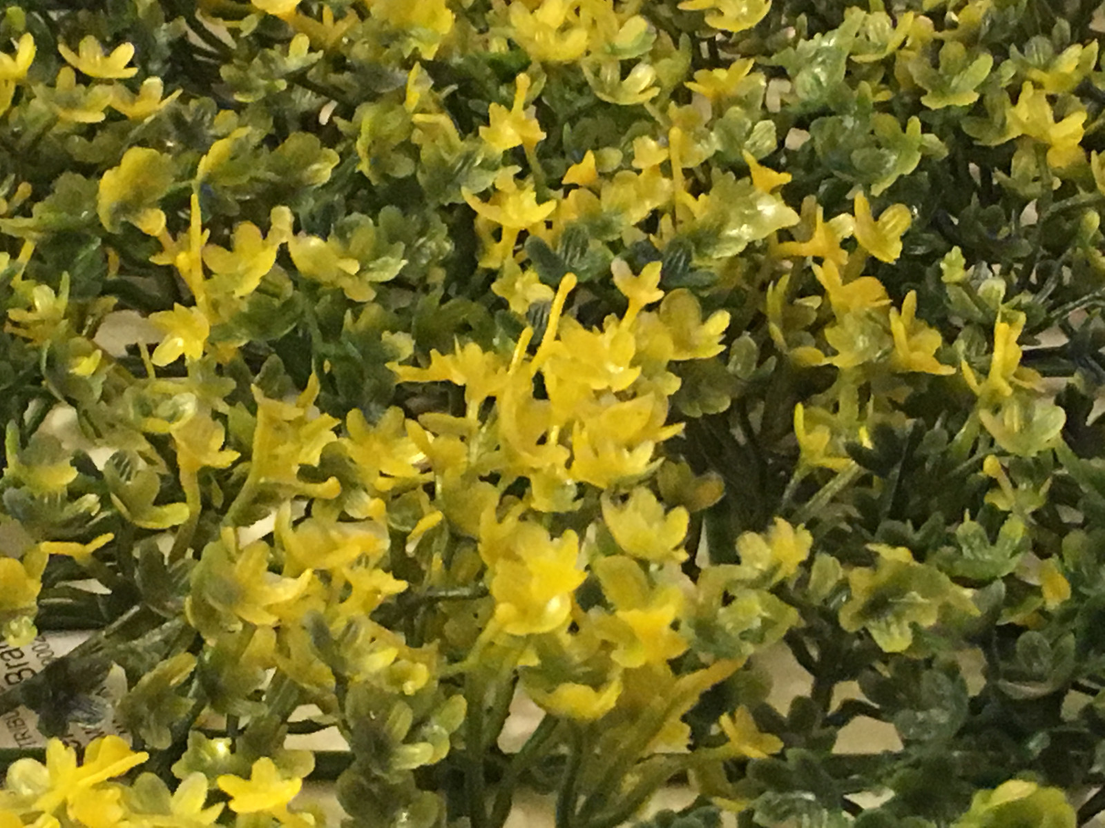 Aquarium Plastic Fish Tank Decor Flower Green Yellow Grass Plant SAFE FOR FISH eBay