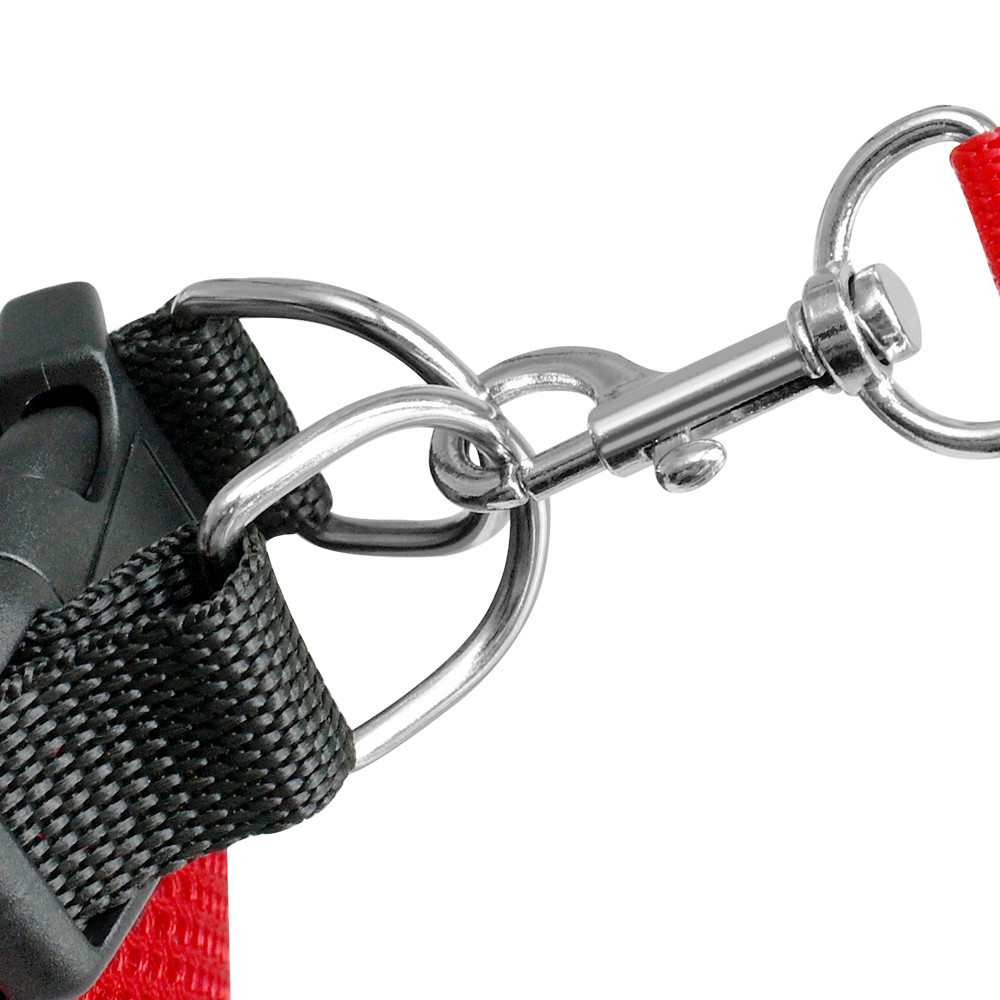 Escape Proof Cat Jacket Harness Leash Set for Walking Pet Mesh Adjustable SXL eBay