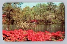 Municipal Gardens Norfolk Virginia Postcard Dexter Rowe Distibuting 20367B