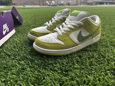 Size 9.5 - Nike Dunk Pro SB Low Fruity Pack - Green Apple