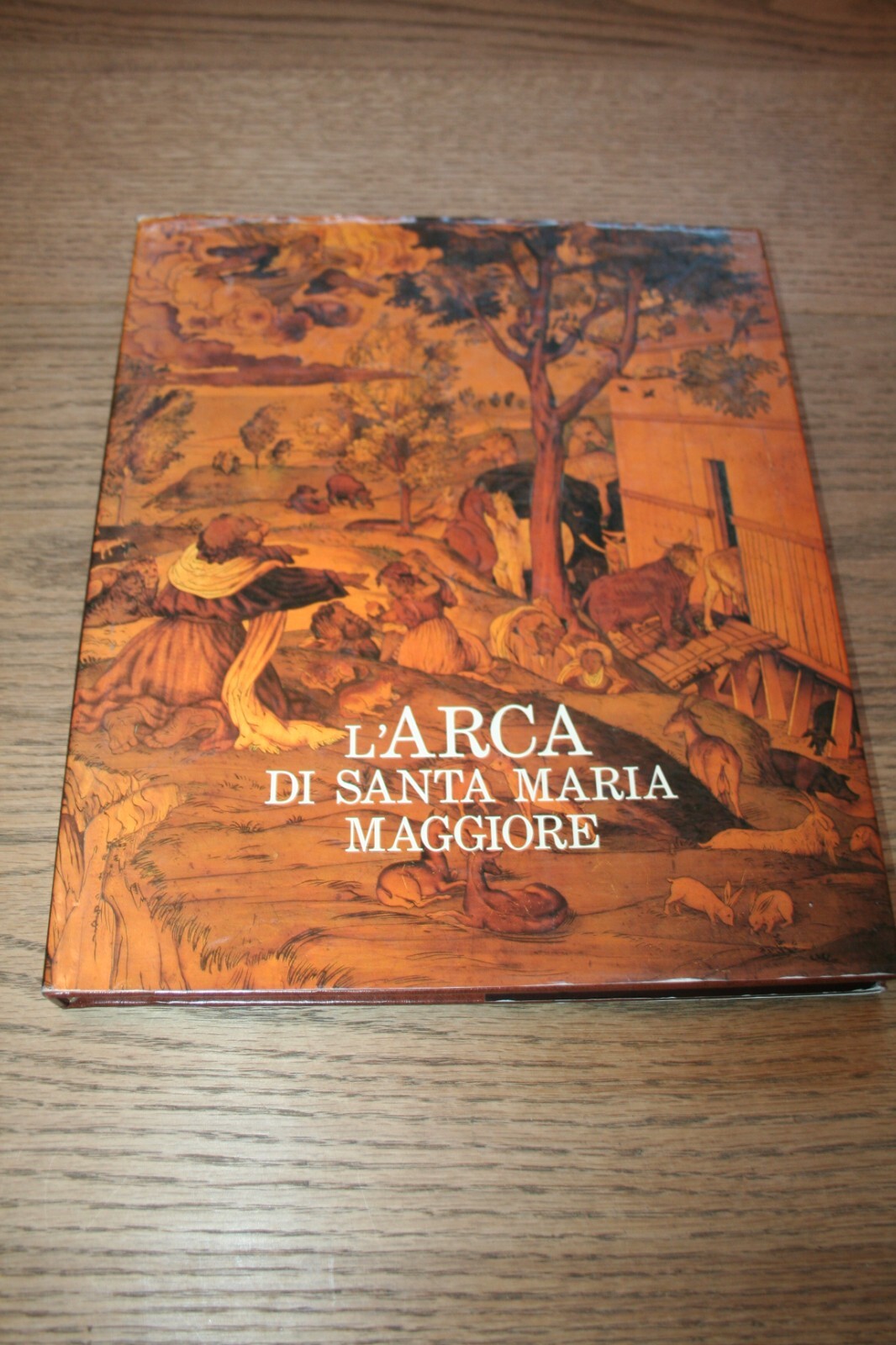 Foto 2 di 5