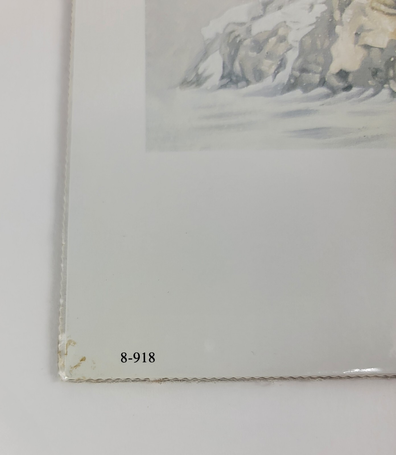 Picture 6 of 16