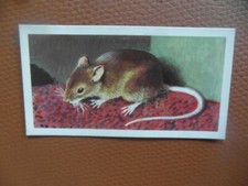  Brooke Bond "British Wildlife" 1958 original tea-card No.32 of 50, cv0.50p 2016