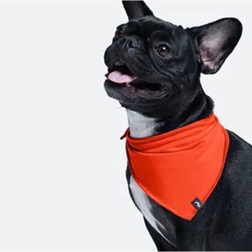 Bandana per cani Simpson XXS/XS sopra collare (fasce per amici di meundies) nuova con etichette - Foto 3 di 6