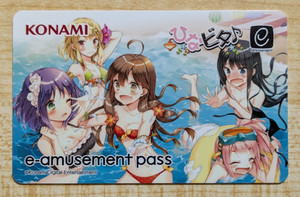 E Amusement Pass | eBay